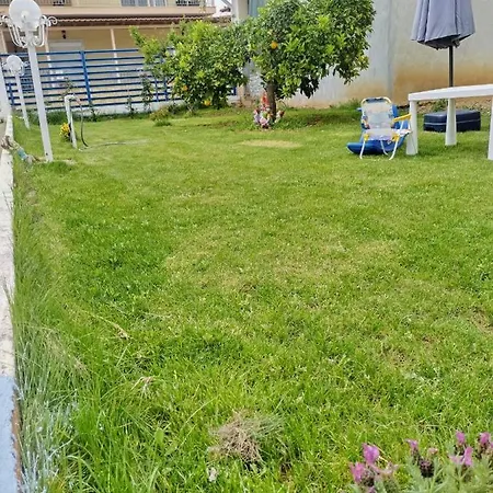 Sofia's House 別荘 *
